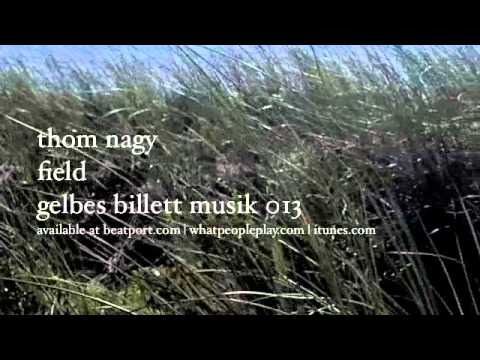 thom nagy | field | gelbes billett musik 013