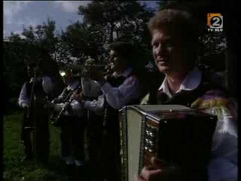 ANS.FRANC MIHELIČ - Zakladi Slovenije