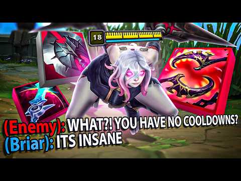 I HAD NO COOLDOWNS USING THIS BROKEN BRIAR BUILD!