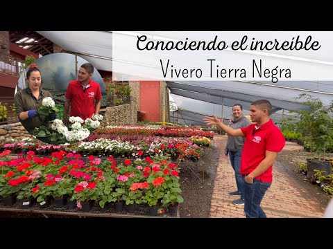 Buying PLANTS IN BLACK SOIL, the largest nursery in MEDELLÍN🇨🇴