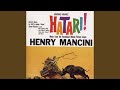 Theme from "Hatari!"