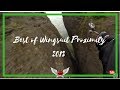 Best of Wingsuit Proximity Flying 2013