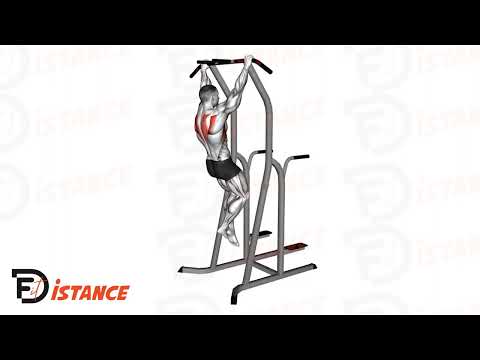 Tractions scapulaires - Exercice Tractions scapulaires en vidéo