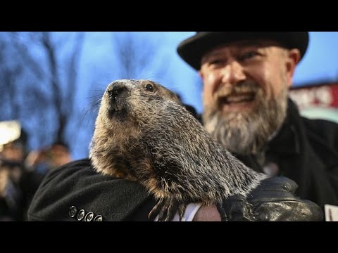 Murmeltiertag in den USA: Hat Phil seinen Schatten gesehen?