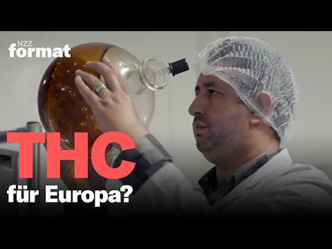 THC für Europa? Marokkos Milliarden-Plan mit legalem Haschisch | Doku NZZ Format