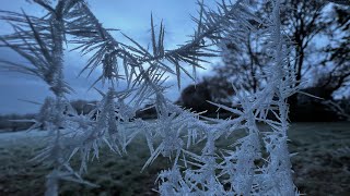 Friday Ascension Update with Tim Whild and David Essery