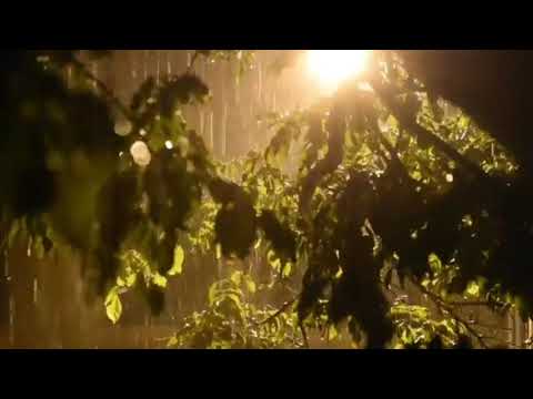 Essa Tal De Mentira - Sérgio Sampaio
