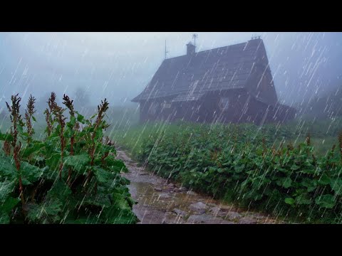 Regengeräusch im Tropenwald zum Einschlafen in 5 Minuten 🌧Entspannender Regen für einen guten Schlaf