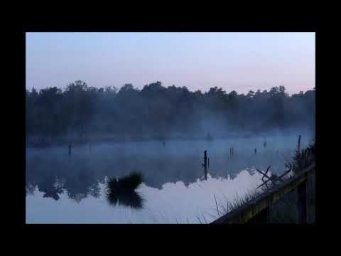 34. TOKYOGHOST - ACETONE [16.09.2015]