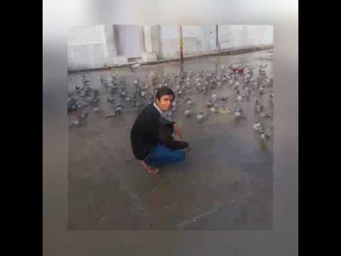 Gourav pahwa Enjoy life