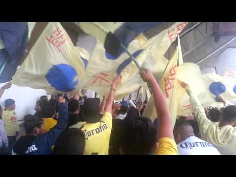 "La afición azul crema en en estadio azteca" Barra: Ritual Del Kaoz &bull; Club: América