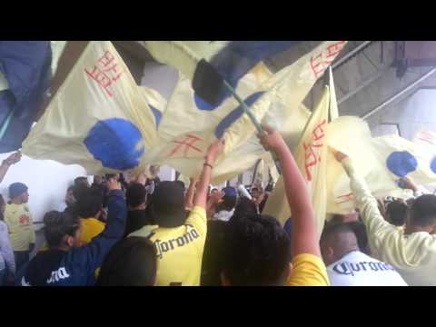 "La afición azul crema en en estadio azteca" Barra: Ritual Del Kaoz • Club: América