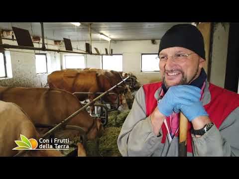 Puntata del 24/1/21 –  1° parte – Clemenz allevatore in Val Gardena