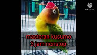 Download lagu MASTERAN SUARA LOVEBIRD KUSUMO 3JAM NONSTOP mp3 Download lagu MASTERAN SUARA LOVEBIRD KUSUMO 3JAM NONSTOP mp3