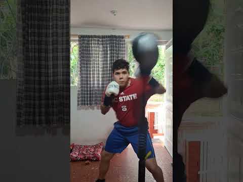 Reflex cobra bag work 06-02-26  #boxing #fightprep #martialarts #kingboxer #mma