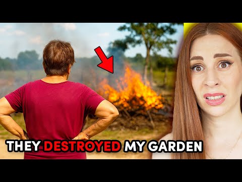 AITA for voodooing my neighbors? - Charlotte Dobre REACTION