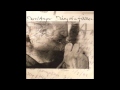 Voodoo Chile - Darol Anger