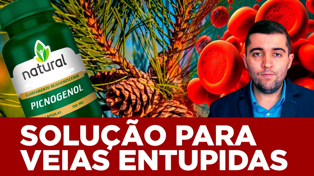 Picnogenol: a revolução para suas veias! Benefícios impressionantes contra má circulação e coágulos