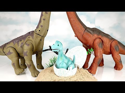 공룡메카드 타이니소어 알공룡 브라키오 채집 - Giant Dinosaur Eggs Brachiosaurus With Truck Toys. Laying Eggs~