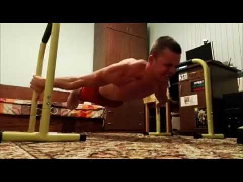 Yordan Stanchev - King of Maltese