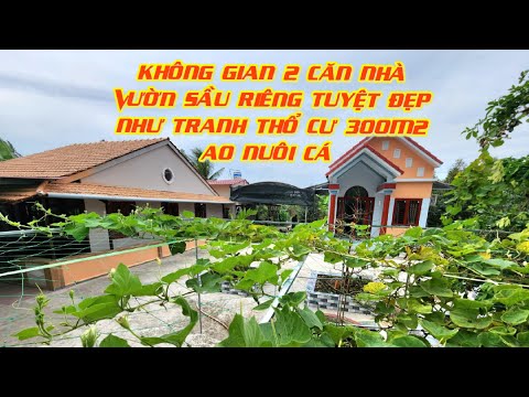 MS:1333 Với 2 căn nhà vườn sầu riêng cực rộng và tuyệt đẹp.Thổ cư 300m2 tổng 2849m2