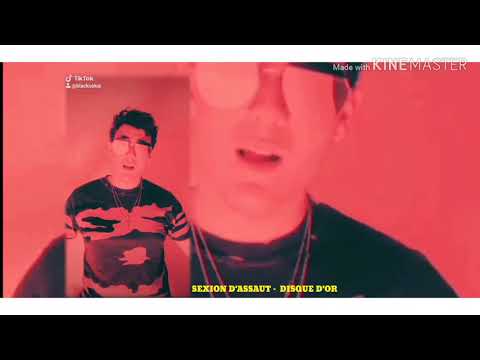 BLACKSEKAI - sexion d'assaut (disques d'or) (tiktok)