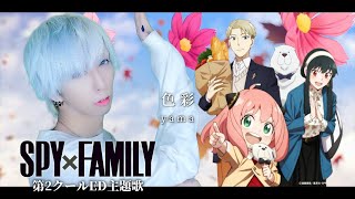 【SPY×FAMILY 第２クールED】色彩/yamaを歌ってみた - ver.ましゅー￤color