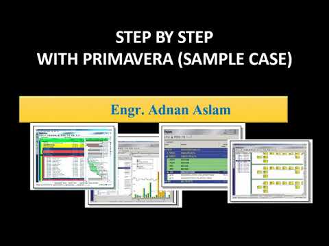 Primavera Step By Step Project Sample