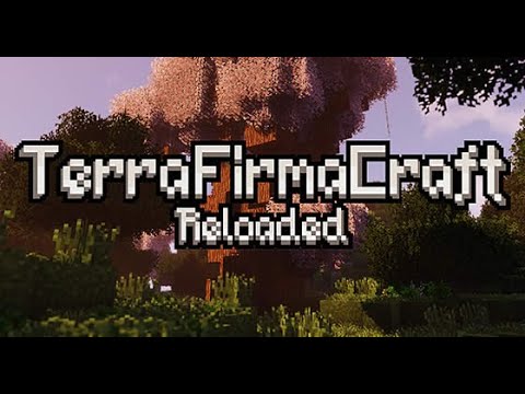 Let's Play Minecraft| TerraFirmaCraft Reloaded 2 Ep.25| Questions