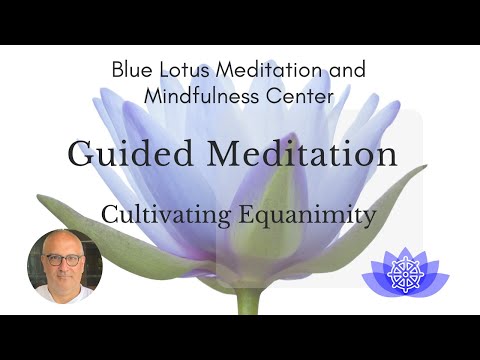 Cultivating Equanimity | Guided Meditation
