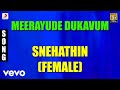 Snehathin Female Malayalam Song Prithviraj Ambili Devi Renuka Menon