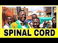What Is A Spinal Cord Teacher Mpamire On The Street