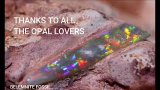 Opal Auctions celebrates selling half a million Opals online