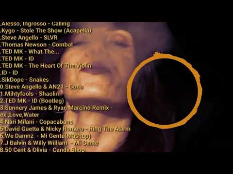 Alesso , Sebastian Ingrosso , Kygo , Steve Angello , Sikdope , David Guetta (ETC) [Mashup Mix]