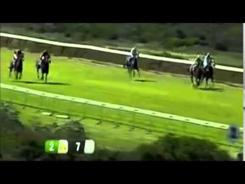 Thrill Factor | Kenilworth | 9 August 2014