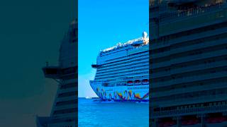 Norwegian Encore 🛳️ #like #share #comment #subscribe #cruiseship #cruise #vacation #shorts #short
