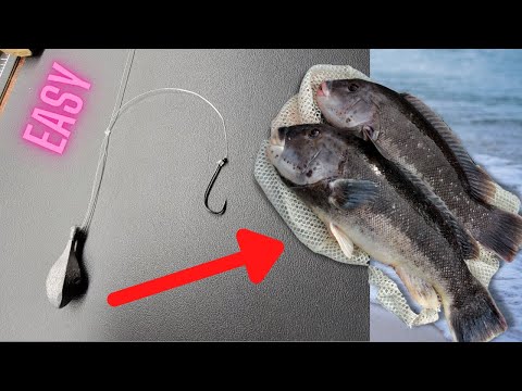 HOW TO TIE A STAND OFF BOTTOM RIG For TAUTOG AKA BLACKFISH