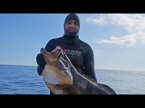 Pesca sub- Ricerca con l ecoscandaglio e cattura-Cernione del 22/12/2025 
