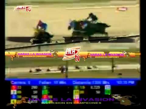 VALENCIA 7 CARRERA, VIERNES 20 DE FEBRERO DEL 2015