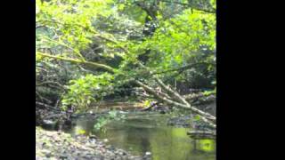 Geddy Lee ( RUSH) &#39;Slipping&#39; (My Favorite Headache)