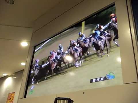 ２０１８年１０月２１日Ｇ１京都１１Ｒ「菊花賞」「フィエールマン」