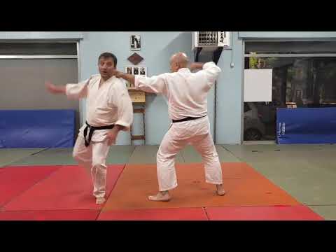 Daito Ryu Aikijujutsu ASD Shiseikan Europe