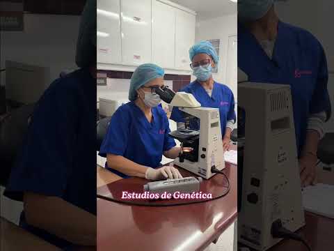 video ro3E_BlUqXw