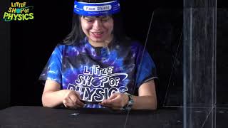 Download the video "Refrigerator Magnets"