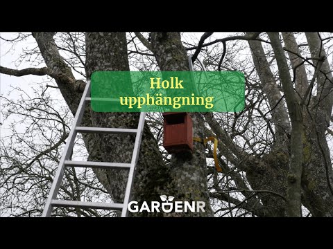 Bra sätt att hänga upp en holk i trädet. Holkupphängning - Trädgårdshacks med GardenR