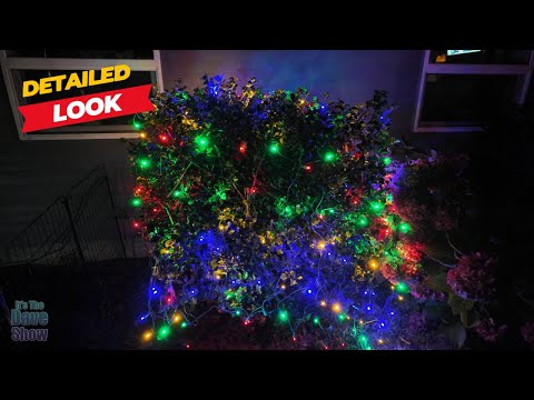easy way to decorate your bushes with LED Christmas lights with net lighting