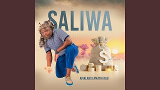 Download lagu Isalukazi Somlungu (feat. Nandisa & Gqizile) mp3