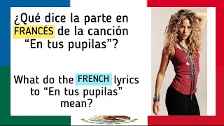 Aprende francés con canciones: En tus pupilas Shakira