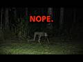 25 Scary Videos That Will Keep You Awake Tonight