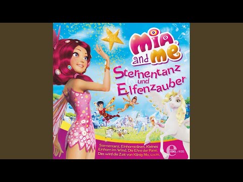 Komm und flieg mit mir (Remix)